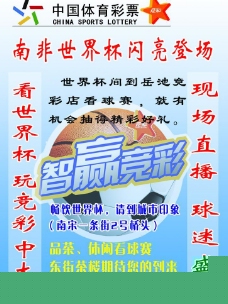 这里总有一 这里总有一